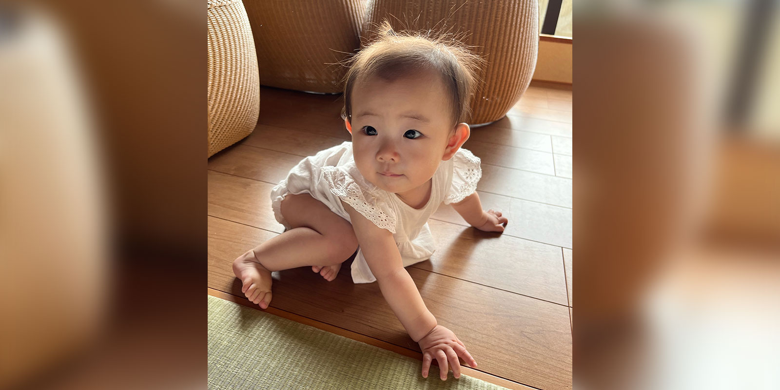 社員インタビュー