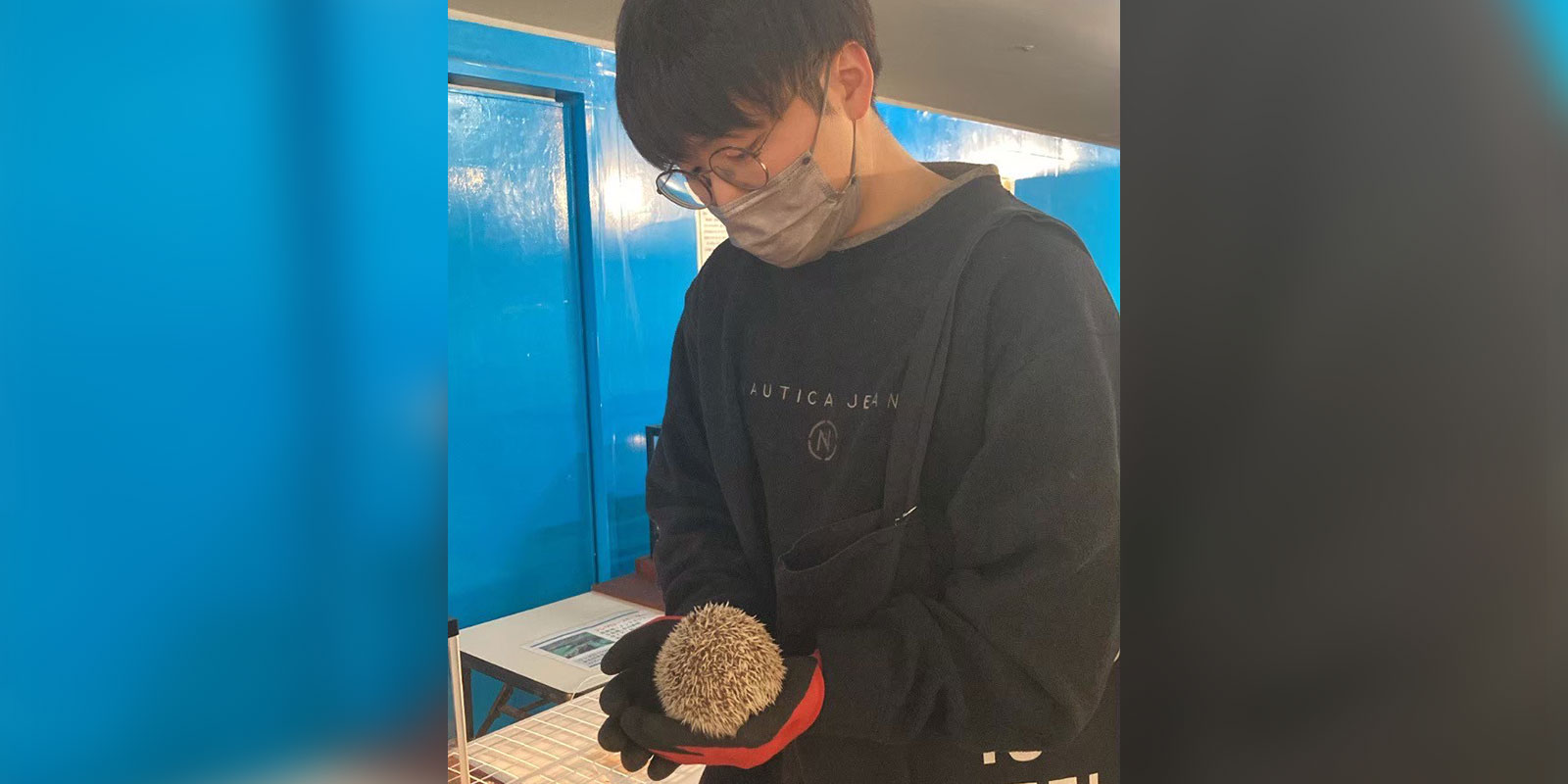 社員インタビュー