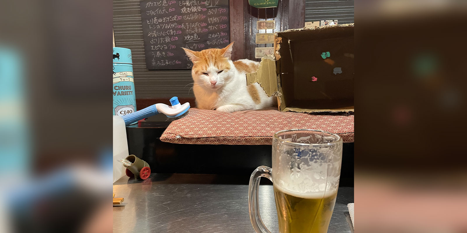 社員インタビュー
