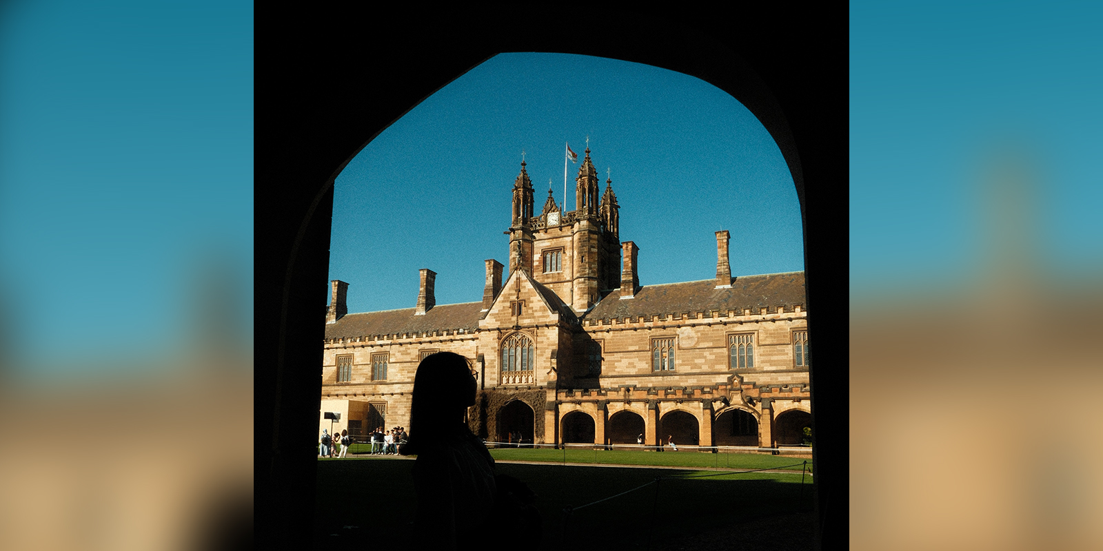 社員インタビュー